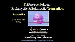 10 Differences between Prokaryotic and Eukaryotic Translation Subtitled