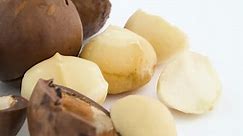 Macro Shooting Macadamia Nut Shell Blanched Stock Footage Video (100% Royalty-free) 1017561454 | Shutterstock