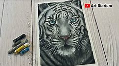 White Tiger Drawing / Step by Step tutorial- Oil Pastel Art