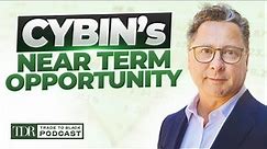 Why Cybin Could Be Set For Greater Opportunities This Year - Trade to Black