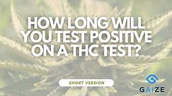 How Long Will you Test Positive on a THC Test? - Short Version