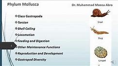 Phylum Mollusca, Class Gastropoda, Torsion, Locomotion, Digestion, Reproduction and Development