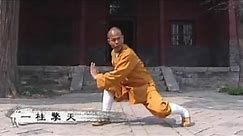 Shaolin Kung Fu Combat Styles: 17. emperor's long-range form (太祖长拳: taizu chang quan)