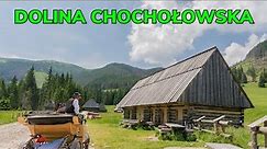 Dolina Chochołowska CAŁA TRASA - Spacer przez NAJDŁUŻSZĄ dolinę w Tatrach!