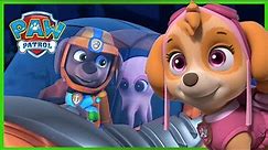 Best Rescues from Skye, Zuma and more episodes! | PAW Patrol | Cartoons for Kids Compilation
