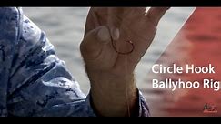 The BEST Live Ballyhoo Rig With A Circle Hook-Into The Blue