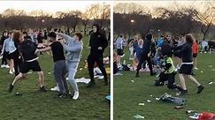 Scotland: Brawl in Edinburgh park as police officer reportedly injured
