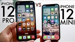 iPhone 12 Pro Vs iPhone 12 Mini! (Comparison) (Review)