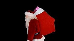 Realistic Sneaky Santa Clause Projection Loop | Christmas Projection Loop Decorations