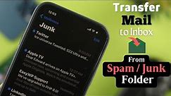 How to Transfer iPhone Mail From Junk Folder to Inbox! [Spam to Inbox!]