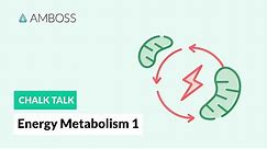 Energy Metabolism - Part 1: Body's Sources of Energy