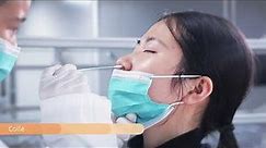 Flu+COVID-19 Ag Test Kit Nasal Swab Operation Video (Colloidal Gold)