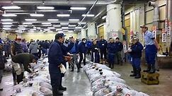 2018’s first tuna auction at Tokyo’s Tsukiji fish market [RAW VIDEO]