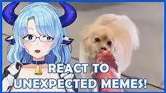 Unexpected Memes ~ Milky
