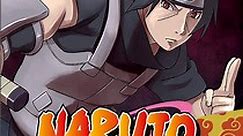 Naruto Shippūden Season 9 - watch episodes streaming online
