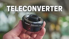 Olympus MC-20 2X Teleconverter Lens Review