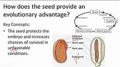 Evolution of Seed Plants