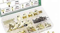 103pcs Heavy Duty Picture Hangers Kit Hardware 10-100lbs, Picture Hooks, Professional Picture Hanging Hooks with Nails for Picture Frame,Office Pictures, Canvas, Clock Q-O-010-BOX