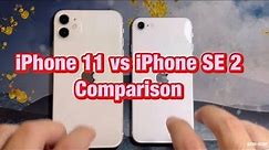 iPhone 11 vs iPhone SE 2 Compare