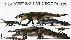 Which is Biggest of The 7 Largest Extinct Crocodiles?