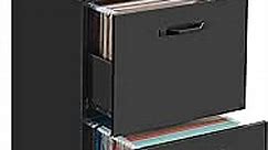 VASAGLE 2-Drawer File Cabinet, Filing Cabinet for Home Office, Small Rolling File Cabinet, Printer Stand, for A4, Letter-Size Files, Hanging File Folders, Modern Style, Matte Black UOFC040B16