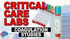 Coags - Coagulation Studies - Critical Care Labs