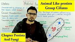 Animal like Protists (Ciliates) | Chapter Protista and Fungi