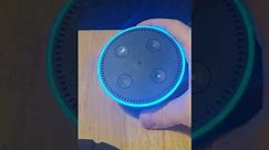 How to reset the Amazon Echo dot Gen 1&2