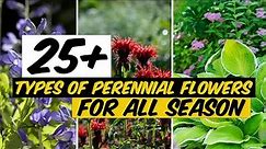 26 Types of Perennial Flowers that Bloom All Season - The Planet of Greens