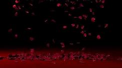 ROSE PETAL Falling Rose background (3DMAX)