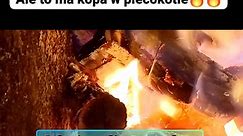 #czarny #bez #spalanie #kocioł #piec #temperatura #jak #sie #pali | Sławek Bor