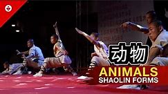 8 SHAOLIN ANIMALS Styles | INCREDIBLE Shaolin Kung Fu Warrior Monks Show