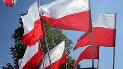 Polska flaga (Nowa Wersja) Biel Czerwień dwa kolory który każdy polak zna | Szkolne Piosenki