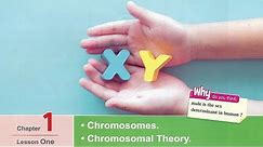 Sec 1\ Biology -2nd term\ Unit 3\ Chapter 1\ Lesson 1 : Chromosomes - Chromosomal theory.