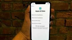 How to Set Up an iPhone X with iTunes or iCloud