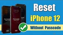How to Reset iPhone 12/iPhone 12 Pro/iPhone 12 Mini without Passcode
