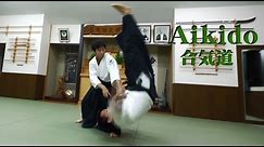 Aikido - It's a Beautiful Martial Arts