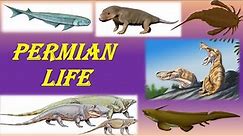 Life (And Death) In The Permian Period