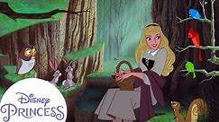 Aurora's Forest Friends | Sleeping Beauty | Disney Princess