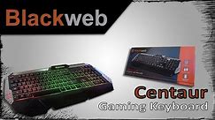 BlackWeb Gaming Keyboard Review