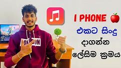 How to Transfer Songs From Pc to I Phone 🍎 | Sinhala