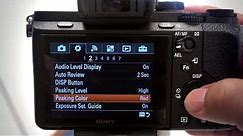 Manual Focus Tools: MF Assist and Peaking Levels on Sony Cameras