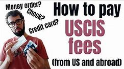 💰 How to pay fees to USCIS for EB2 NIW green card