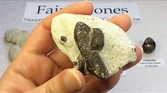 Crystal & Mineral Education: FAIRY STONES ✚ (Staurolite / Chiastolite / Concretions)