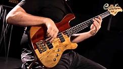 "Setting Up your Bass Guitar" with Jeff Berlin featuring The Rithimic