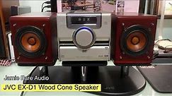 JVC EX-D1 Wood Cone Speaker