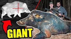 The Hunt For HOGZILLA | Ft. Tanner Stay