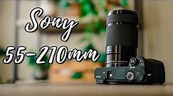 Sony 55-210mm Zoom Lens Review! Way Better Than I Thought! (Sony a6000)