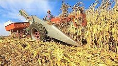 Corn Harvest Has Begun! Picking Corn 2022!