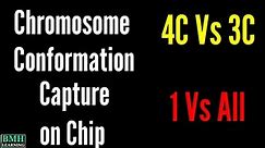 Chromosome Conformation Capture On Chip | 4C Vs 3C |